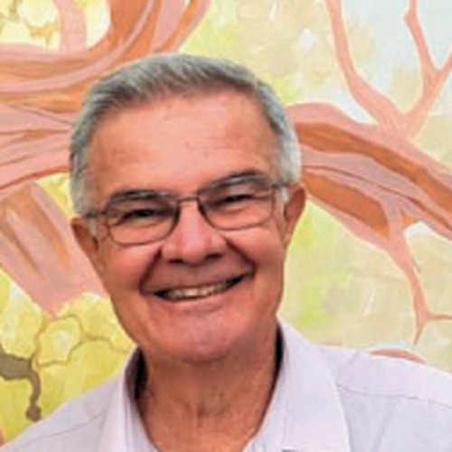 Dr. Acary Souza Bulle Oliveira